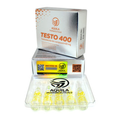 Testo 400